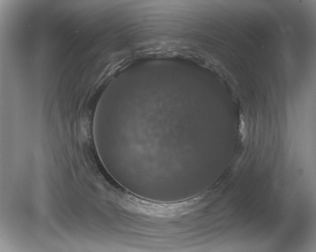 X0000080130035200612081241