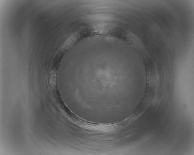 X0000080130036200612081241