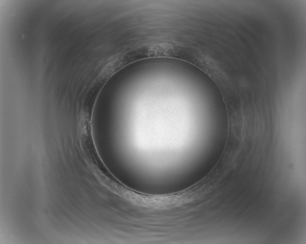 X0000080130038200612081241