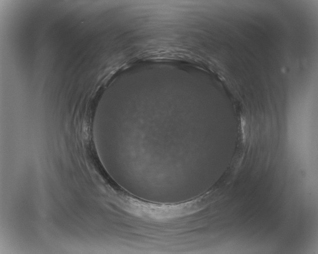 X0000080130039200612081241