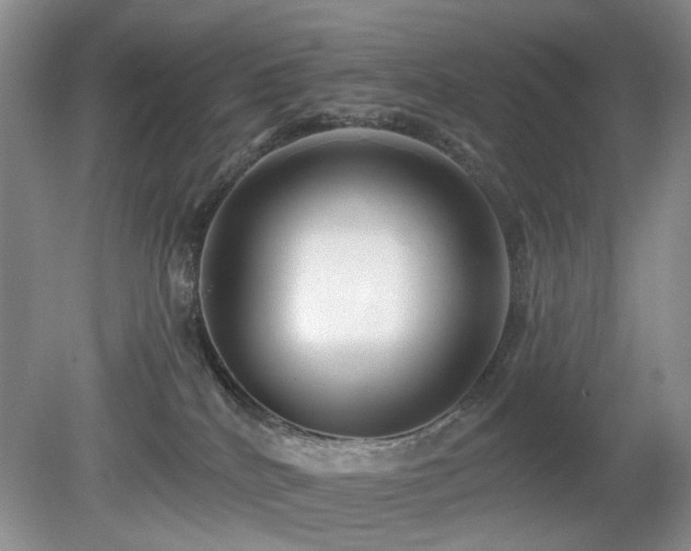 X0000080130040200612081241