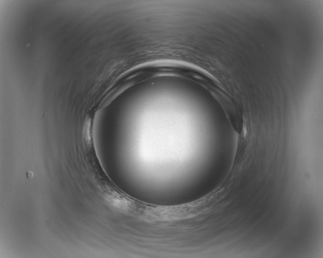 X0000080130041200612081241