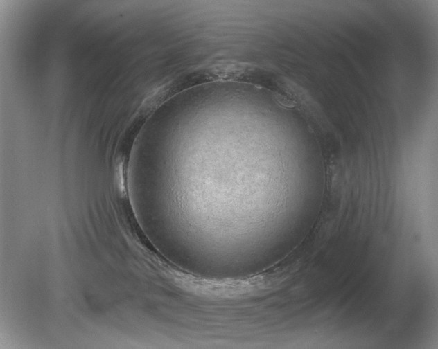 X0000080130042200612081241