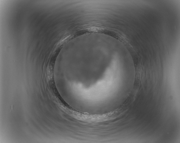 X0000080130043200612081241