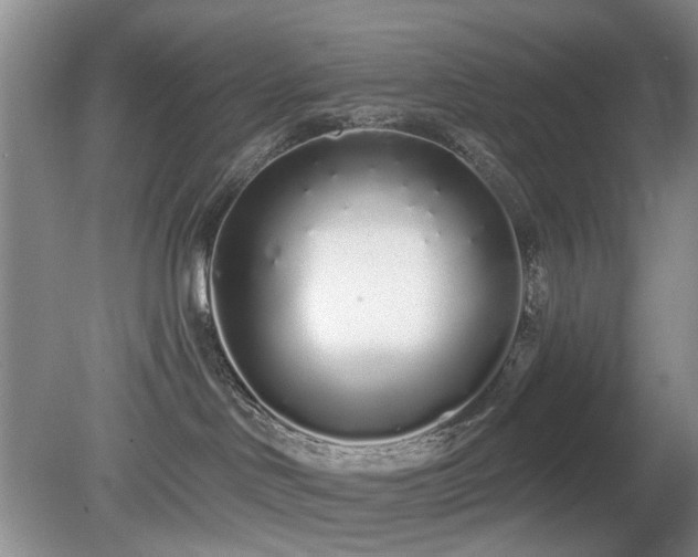 X0000080130046200612081241