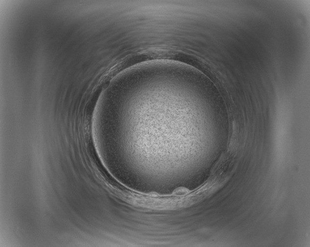 X0000080130048200612081241