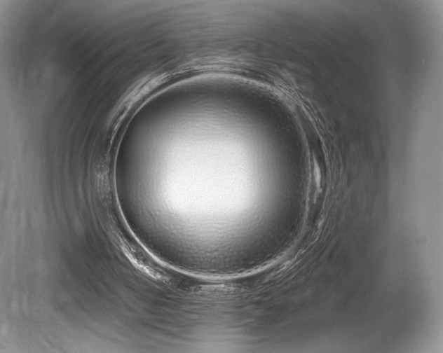 X0000080130050200612081240