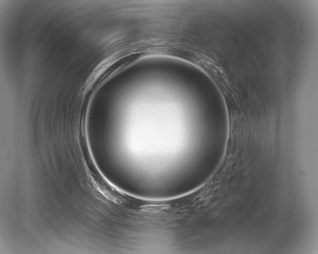 X0000080130051200612081240