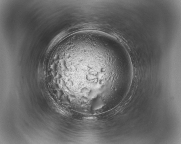 X0000080130053200612081240