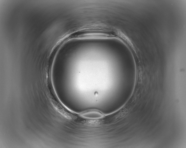 X0000080130059200612081241