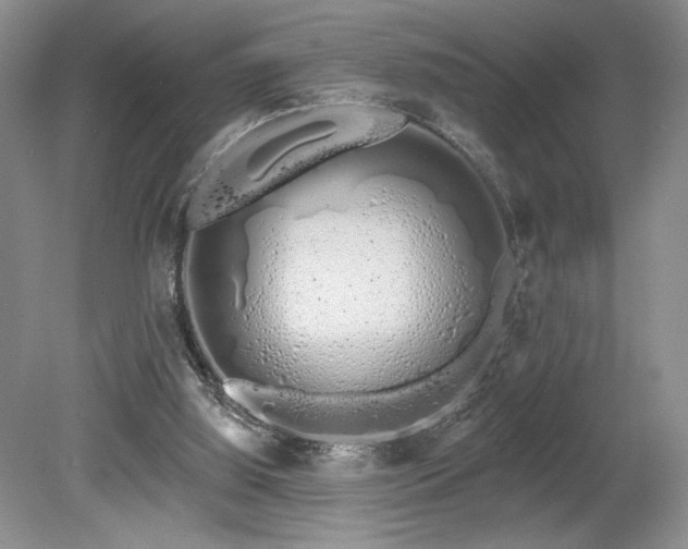 X0000080130060200612081241