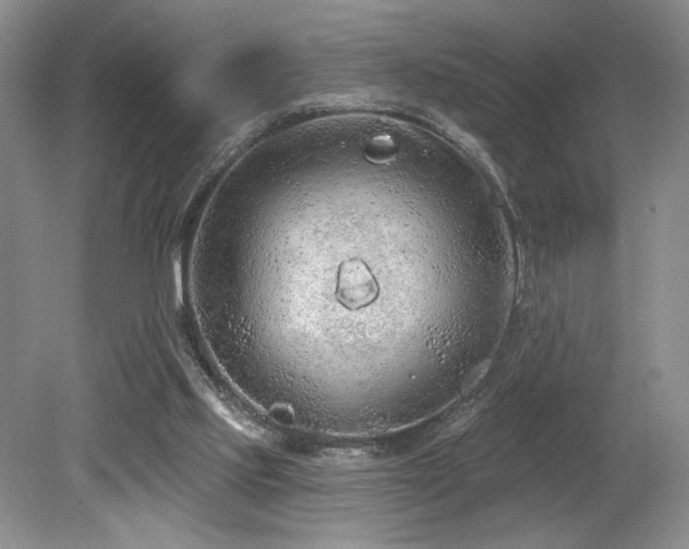 X0000080130061200612081241