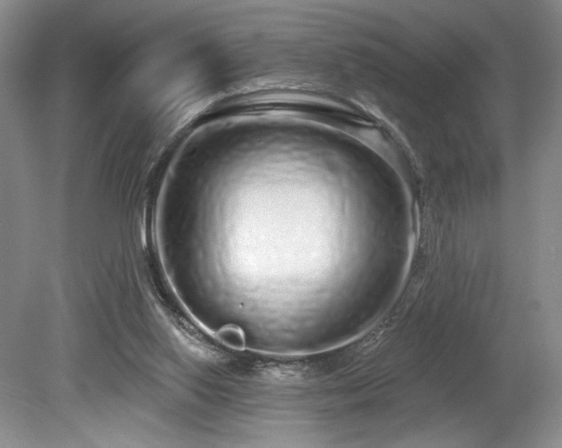 X0000080130062200612081241