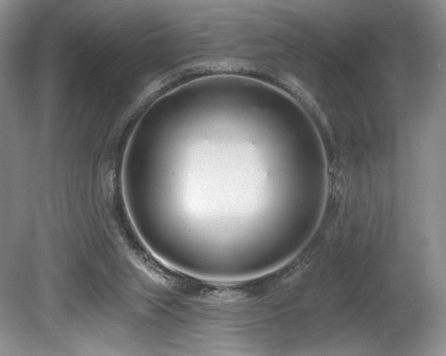 X0000080130063200612081241