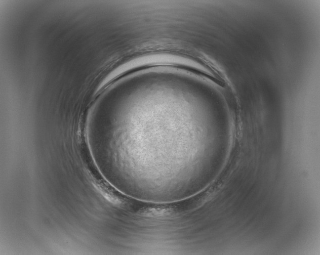 X0000080130065200612081241