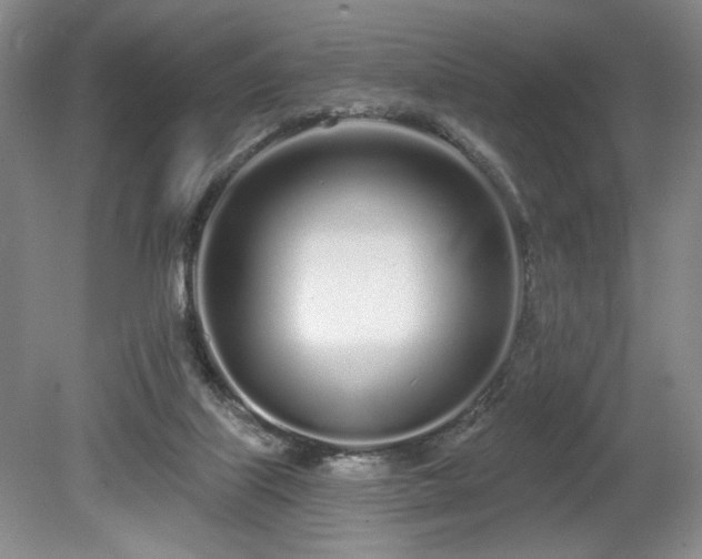 X0000080130067200612081241