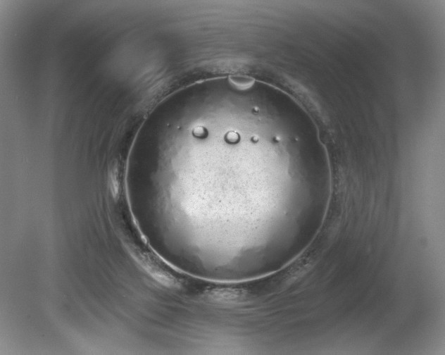 X0000080130069200612081241