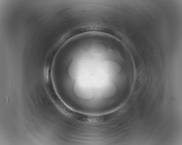 X0000080130070200612081241