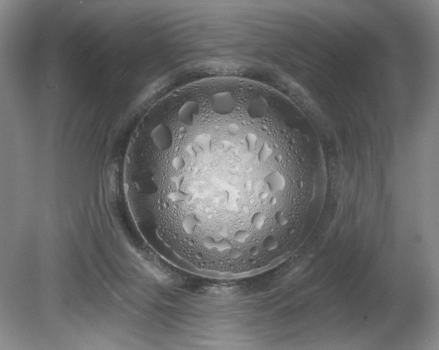 X0000080130071200612081241