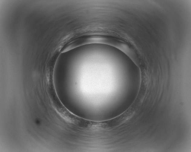 X0000080130072200612081241