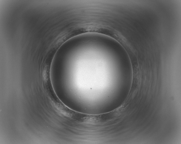 X0000080130074200612081241