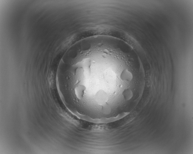 X0000080130077200612081241