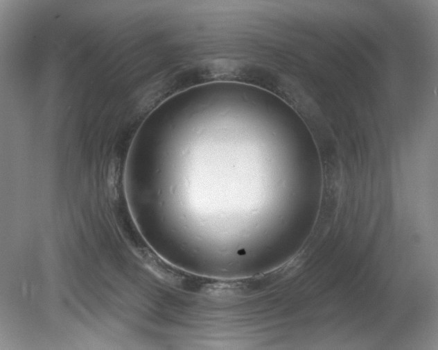 X0000080130082200612081241