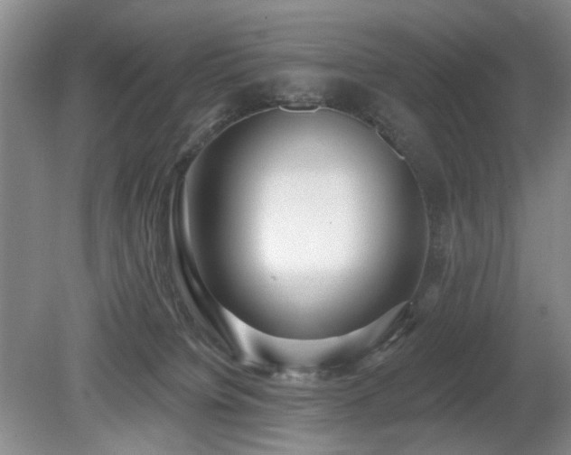 X0000080130084200612081241