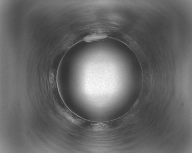 X0000080130087200612081241