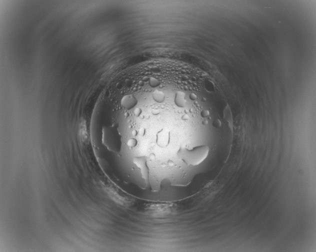 X0000080130089200612081241