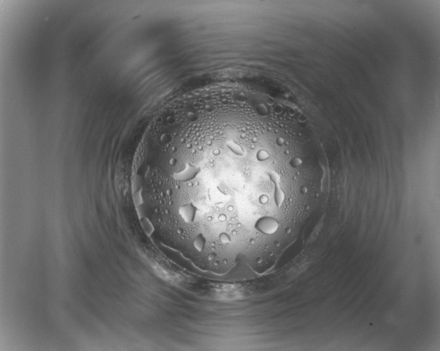 X0000080130091200612081241