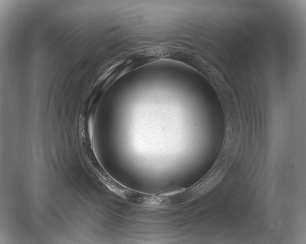 X0000080130096200612081241