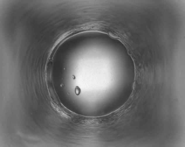 X0000080130100200612081240