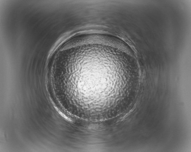 X0000080130101200612081240