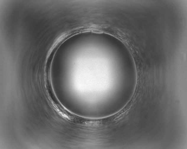 X0000080130102200612081240