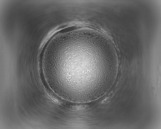 X0000080130103200612081240