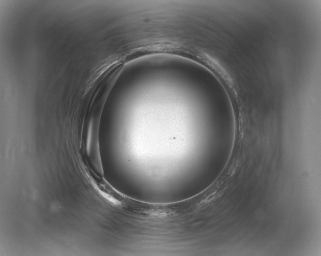 X0000080130105200612081240