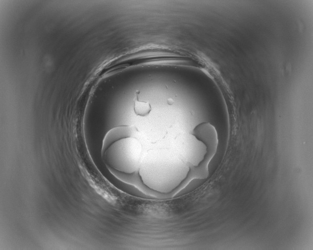 X0000080130106200612081240