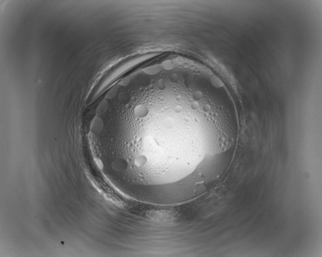 X0000080130107200612081240