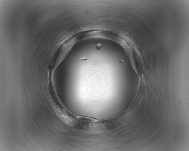 X0000080130109200612081240