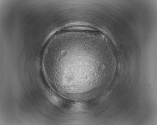 X0000080130111200612081240