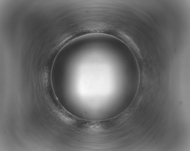 X0000080130113200612081240