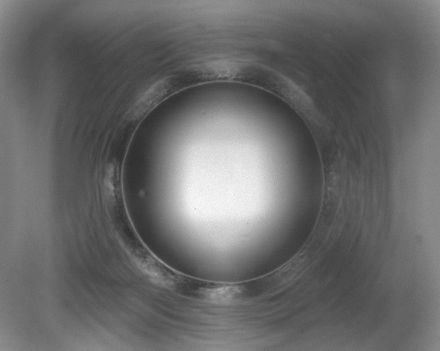 X0000080130122200612081240