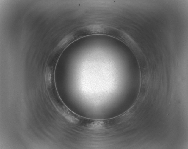 X0000080130124200612081240