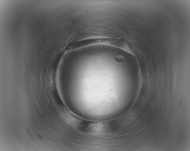 X0000080130131200612081240