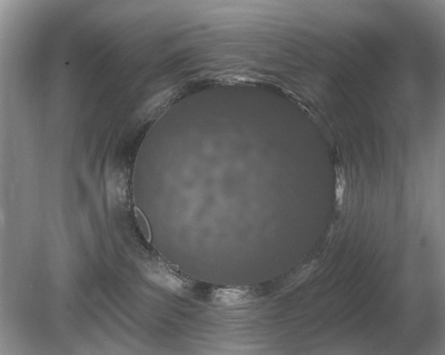 X0000080130139200612081240