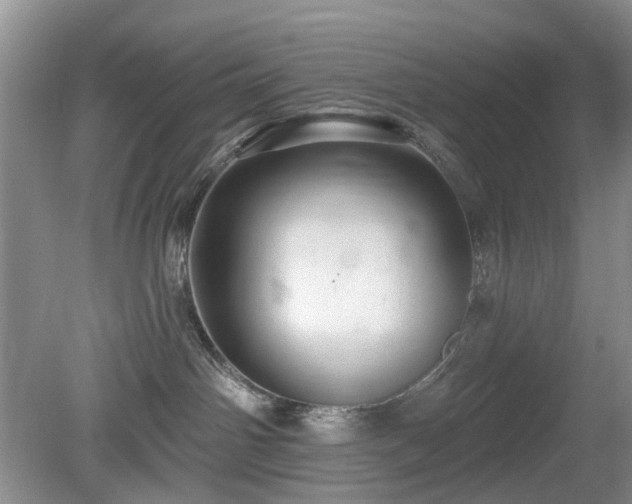 X0000080130142200612081240