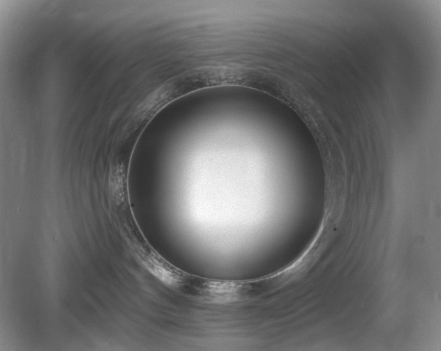 X0000080130144200612081240