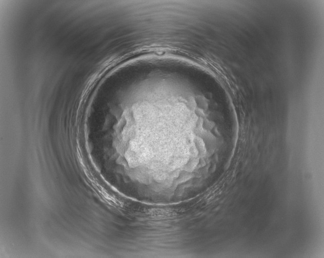 X0000080130145200612081239