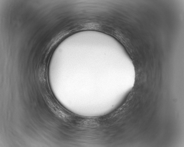 X0000080130146200612081239